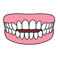 開咬（オープンバイト）