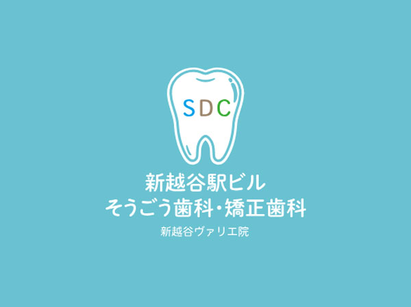 新越谷ヴァリエ外観・アクセス